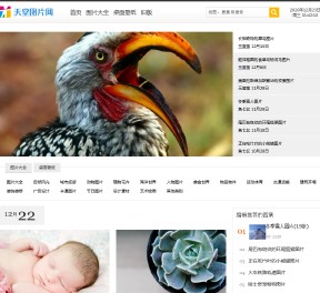 天堂圖片網(wǎng)